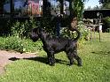 Bild 278